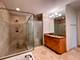 520 S Washington Unit 604, Naperville, IL 60540