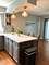 254 Placid, Elk Grove Village, IL 60007
