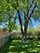 254 Placid, Elk Grove Village, IL 60007