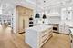 6022 N Ionia, Chicago, IL 60646