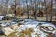 431 Maplewood, Barrington, IL 60010