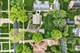 1106 N Washington, Wheaton, IL 60187