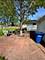 219 River, Dekalb, IL 60115