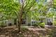 942 Little Falls, Elk Grove Village, IL 60007