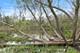 14019 Davis, Woodstock, IL 60098