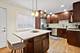 1607 W Sunnyside, Chicago, IL 60640