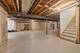 1231 Abbey Oaks, Lemont, IL 60439