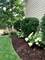 823 Columbia, North Aurora, IL 60542