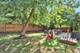 1418 Major, Plainfield, IL 60586