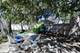 426 N Waiola, La Grange Park, IL 60526