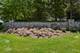 907 Middleton, Inverness, IL 60010