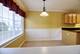 1160 Hawthorne Unit 1160, Elk Grove Village, IL 60007