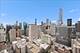 10 E Ontario Unit 4602, Chicago, IL 60611