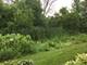2545 Oneida Unit 2545, Naperville, IL 60563