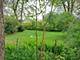 5517 W 83rd, Burbank, IL 60459