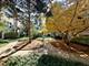 11 E Illinois, Palatine, IL 60067