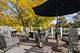 1520 Macalpin, Inverness, IL 60010