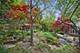 500 Maple, Winnetka, IL 60093
