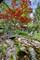 500 Maple, Winnetka, IL 60093