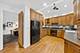 224 Clinton, Oak Park, IL 60302