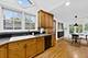224 Clinton, Oak Park, IL 60302