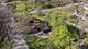 515 Forest, Willow Springs, IL 60480