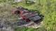 515 Forest, Willow Springs, IL 60480