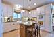 432 S Greenwood, Park Ridge, IL 60068