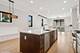 2062 W Belle Plaine, Chicago, IL 60618