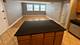 1288 Perry Unit 02, Des Plaines, IL 60016