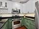 1415 W Chicago Unit 1, Chicago, IL 60642