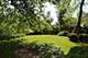 1835 Silverwillow, Glenview, IL 60025