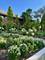 420 N Euclid, Oak Park, IL 60302