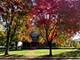 420 N Euclid, Oak Park, IL 60302