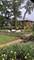 420 N Euclid, Oak Park, IL 60302