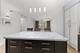 8727 W Bryn Mawr Unit 501, Chicago, IL 60631