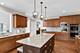 3679 Broadleaf, Elgin, IL 60124