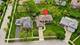 1145 Hunting, Palatine, IL 60067