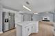 13217 Millbank, Plainfield, IL 60585