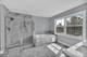 13217 Millbank, Plainfield, IL 60585
