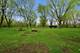 15800 Chappel, South Holland, IL 60473