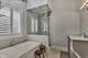 2447 N Greenview, Chicago, IL 60614