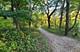 366 Poplar, Crystal Lake, IL 60014