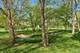 1728 Robert, Naperville, IL 60564