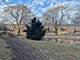 706 E Algonquin Unit 204, Arlington Heights, IL 60005