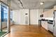 1720 S Michigan Unit 2404, Chicago, IL 60616