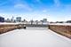 1017 N Cleveland Unit 4, Chicago, IL 60610