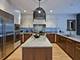 1732 N Winchester, Chicago, IL 60622