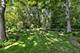 191 Hillcrest Unit 2A, Bloomingdale, IL 60108