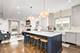 6826 N Osceola, Chicago, IL 60631
